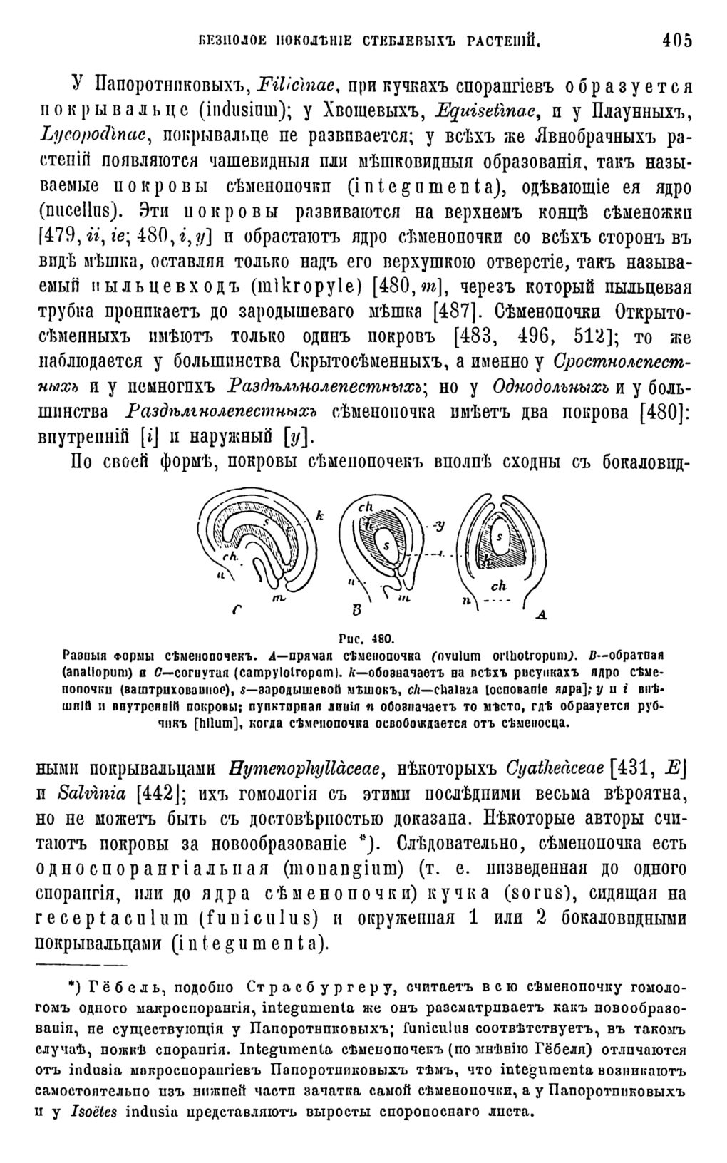 Скан страницы 23 книги «Систематика растений. Часть 2»
