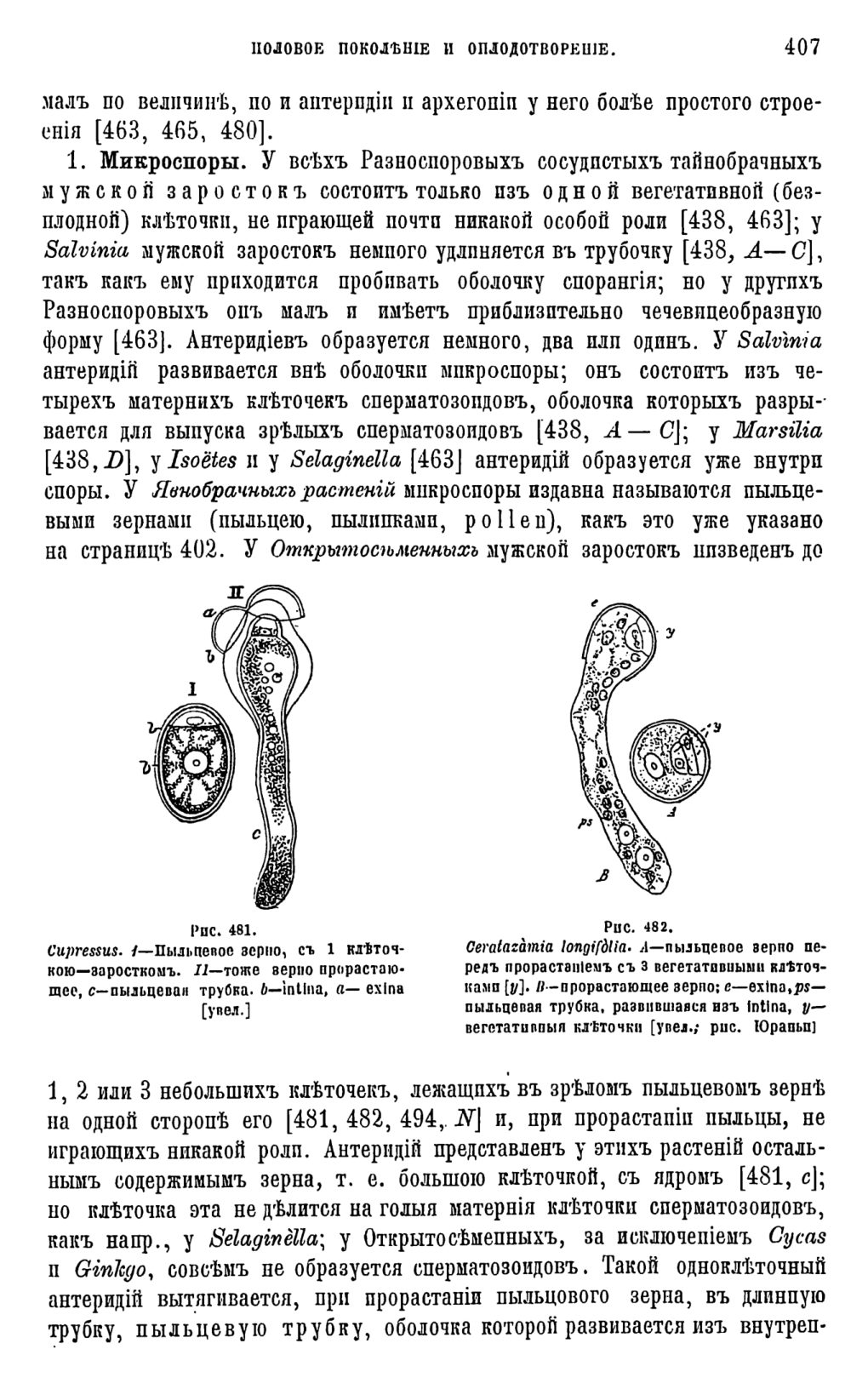 Скан страницы 25 книги «Систематика растений. Часть 2»
