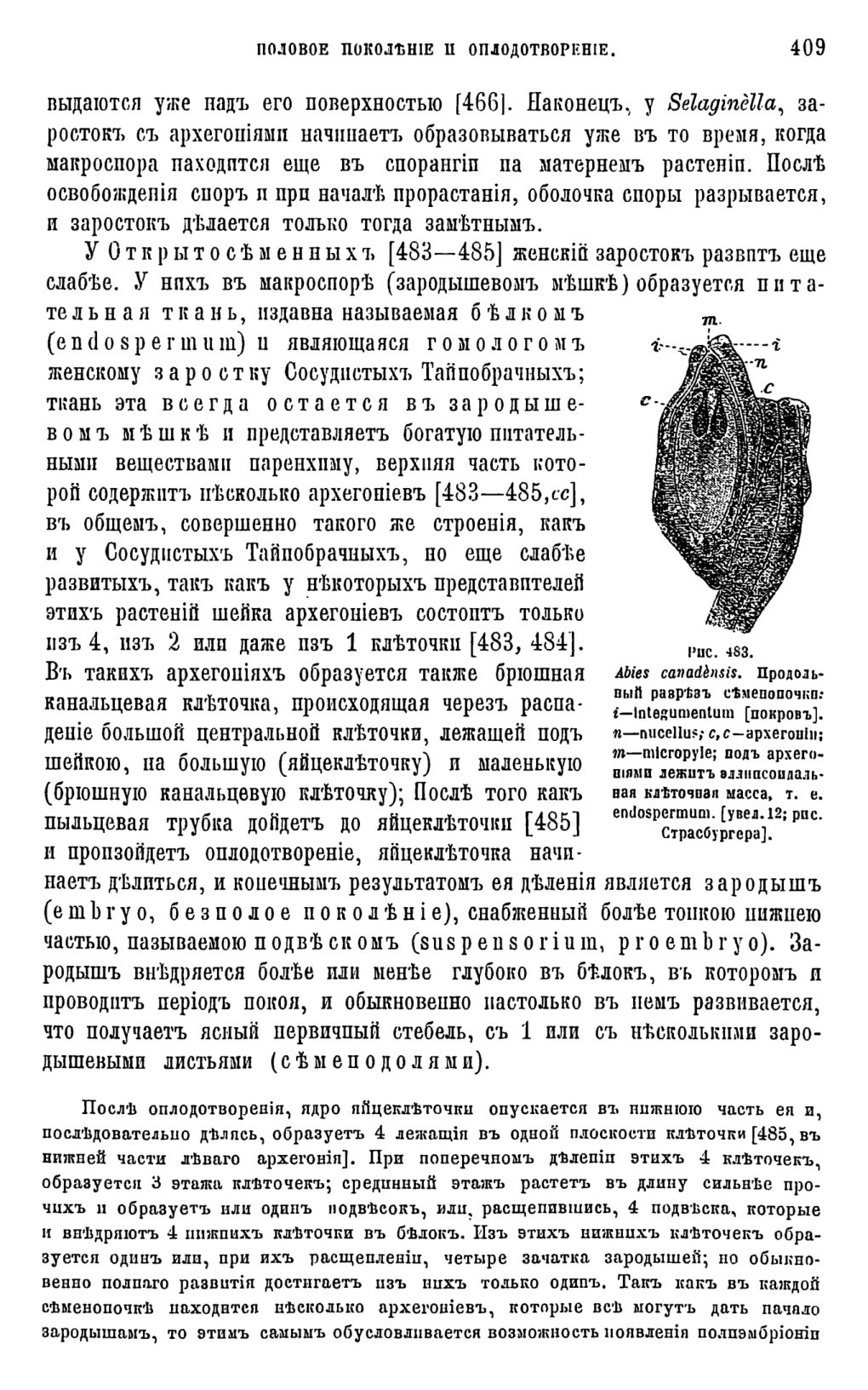 Скан страницы 27 книги «Систематика растений. Часть 2»