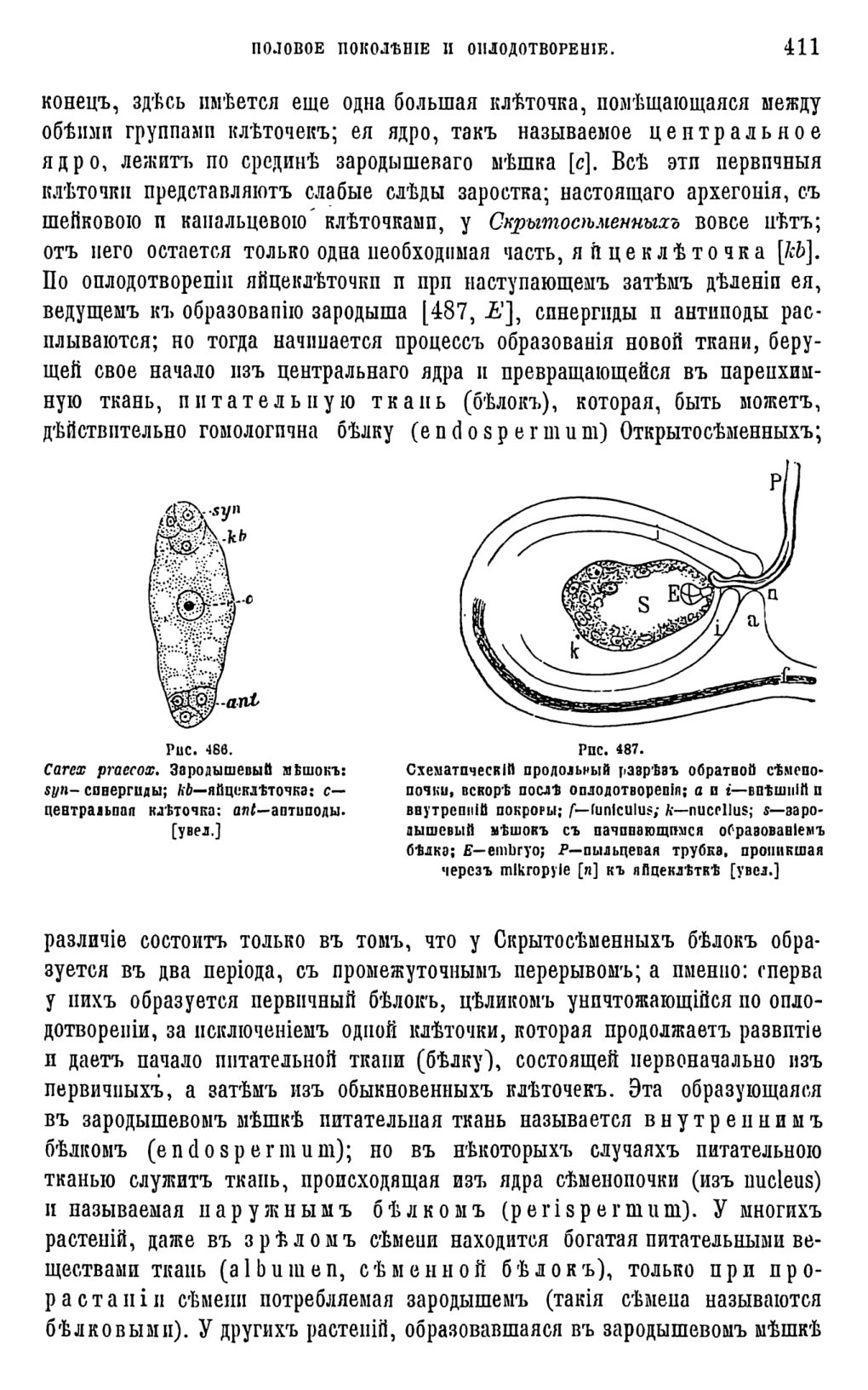Скан страницы 29 книги «Систематика растений. Часть 2»