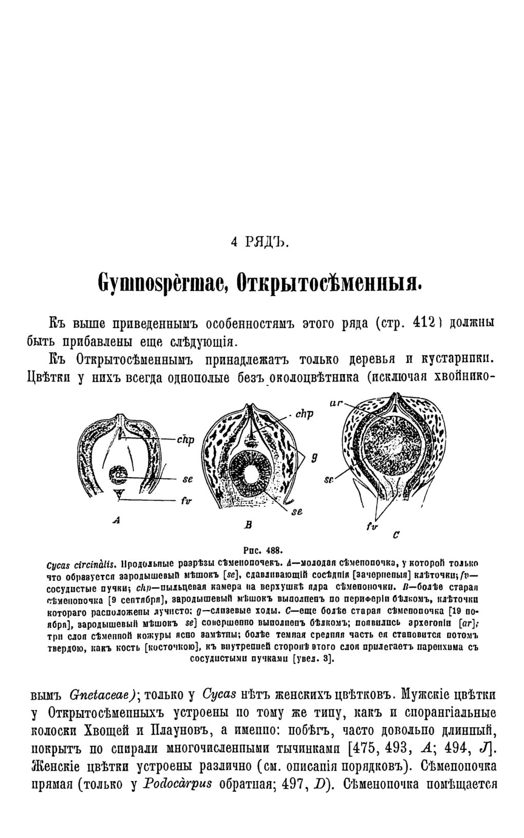 Скан страницы 32 книги «Систематика растений. Часть 2»