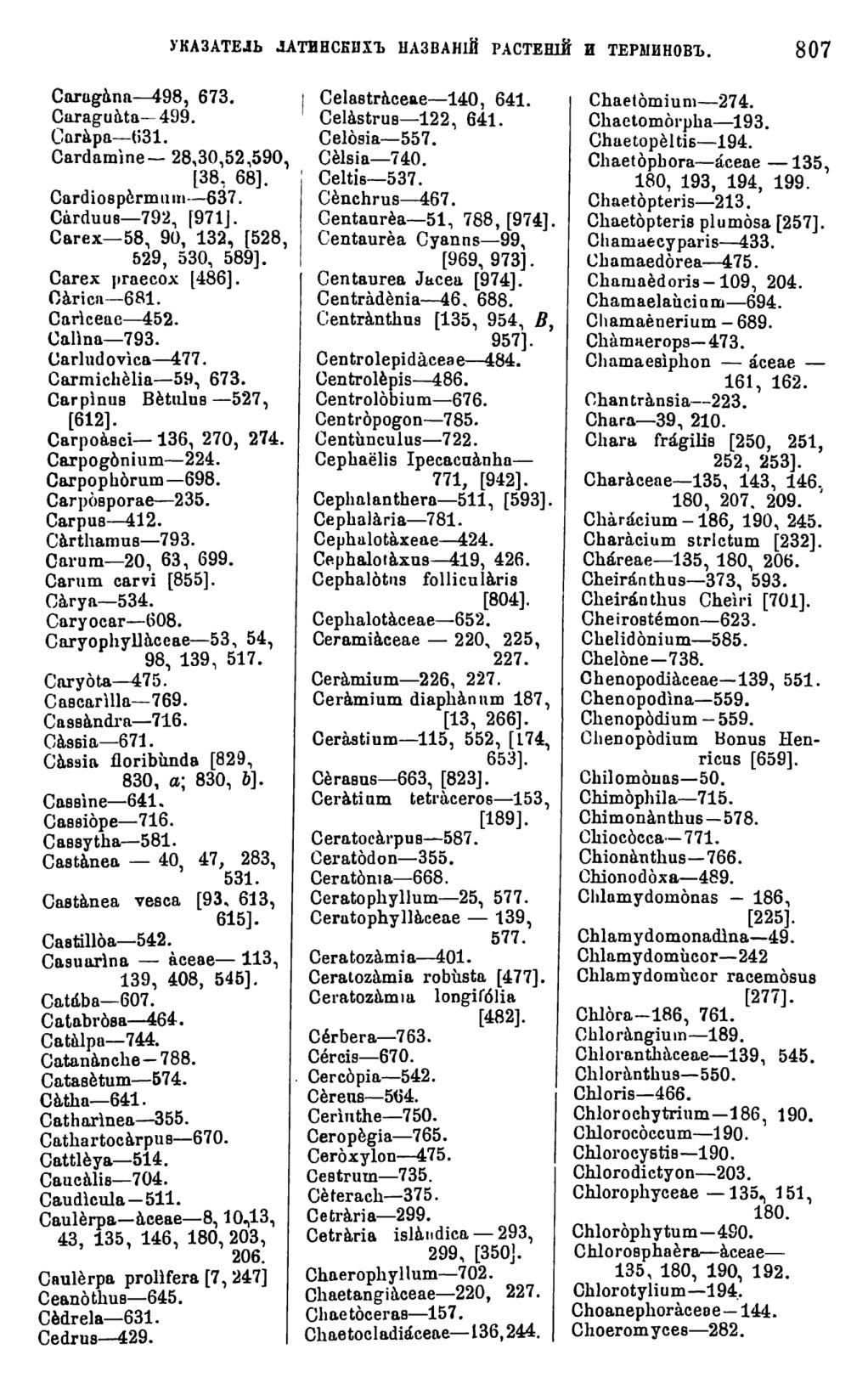 Скан страницы 424 книги «Систематика растений. Часть 2»
