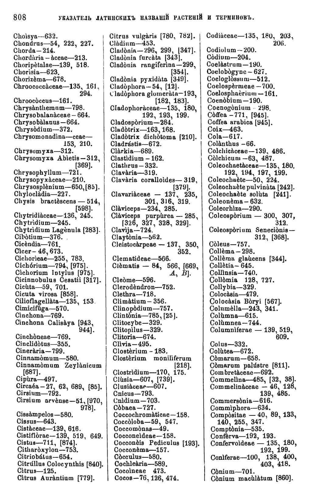 Скан страницы 425 книги «Систематика растений. Часть 2»