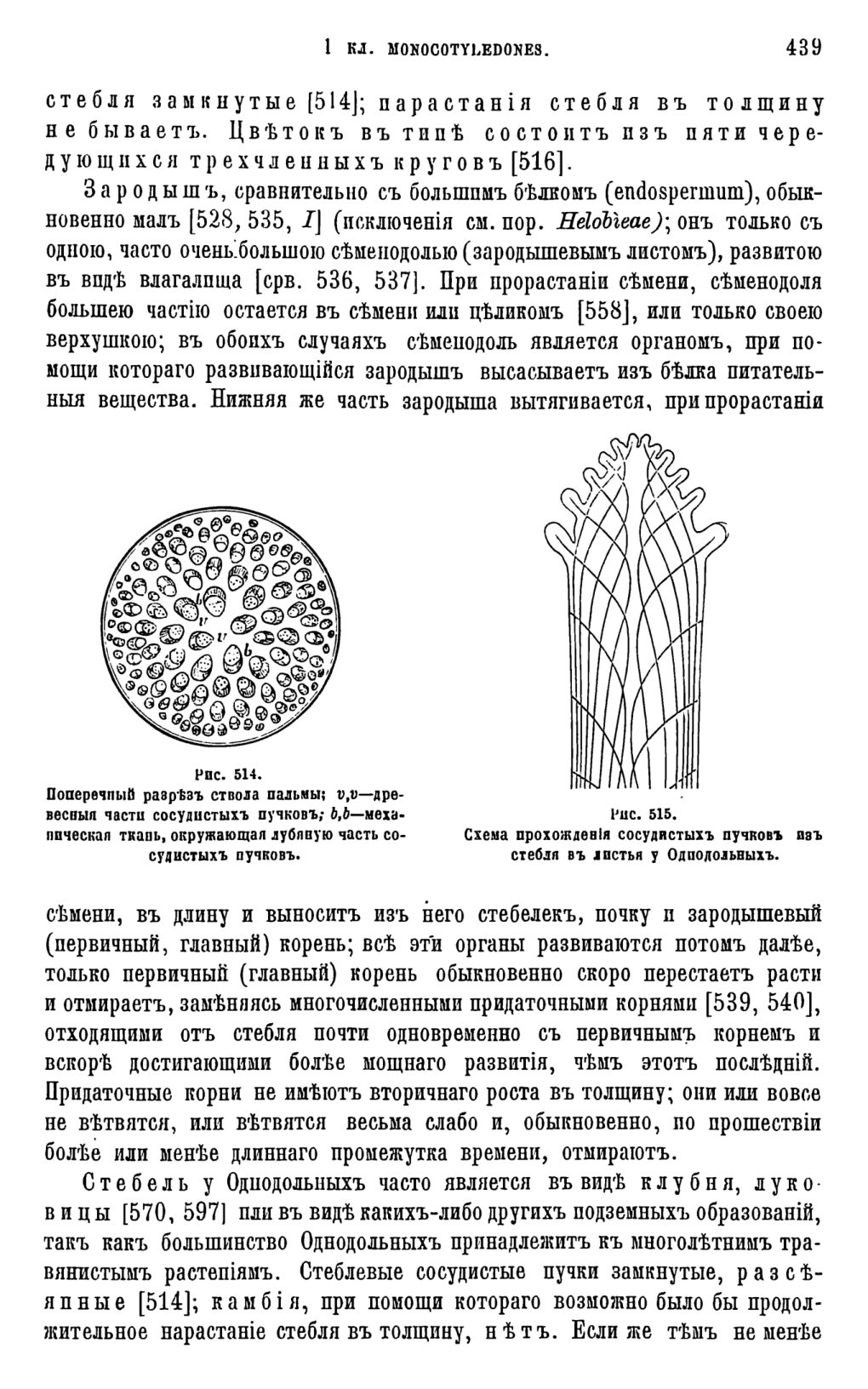 Скан страницы 57 книги «Систематика растений. Часть 2»