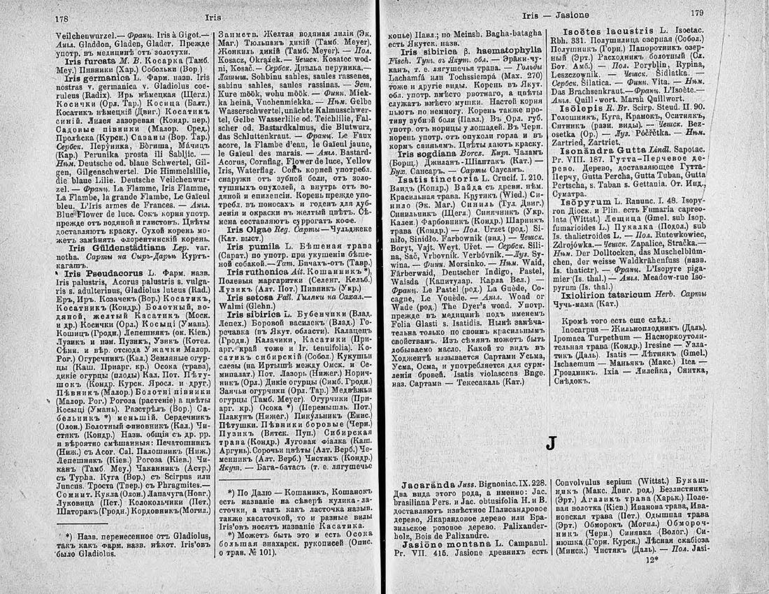 Скан страницы 104 книги «Ботанический Словарь»