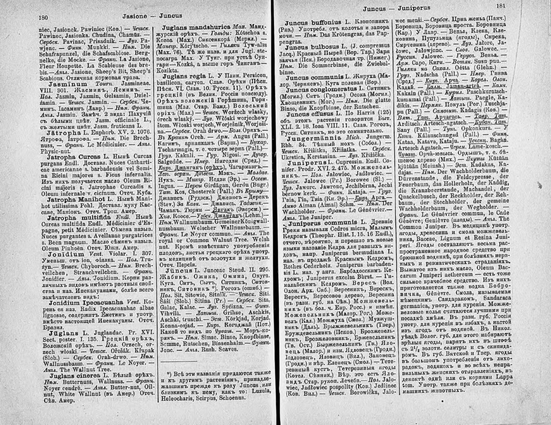 Скан страницы 105 книги «Ботанический Словарь»