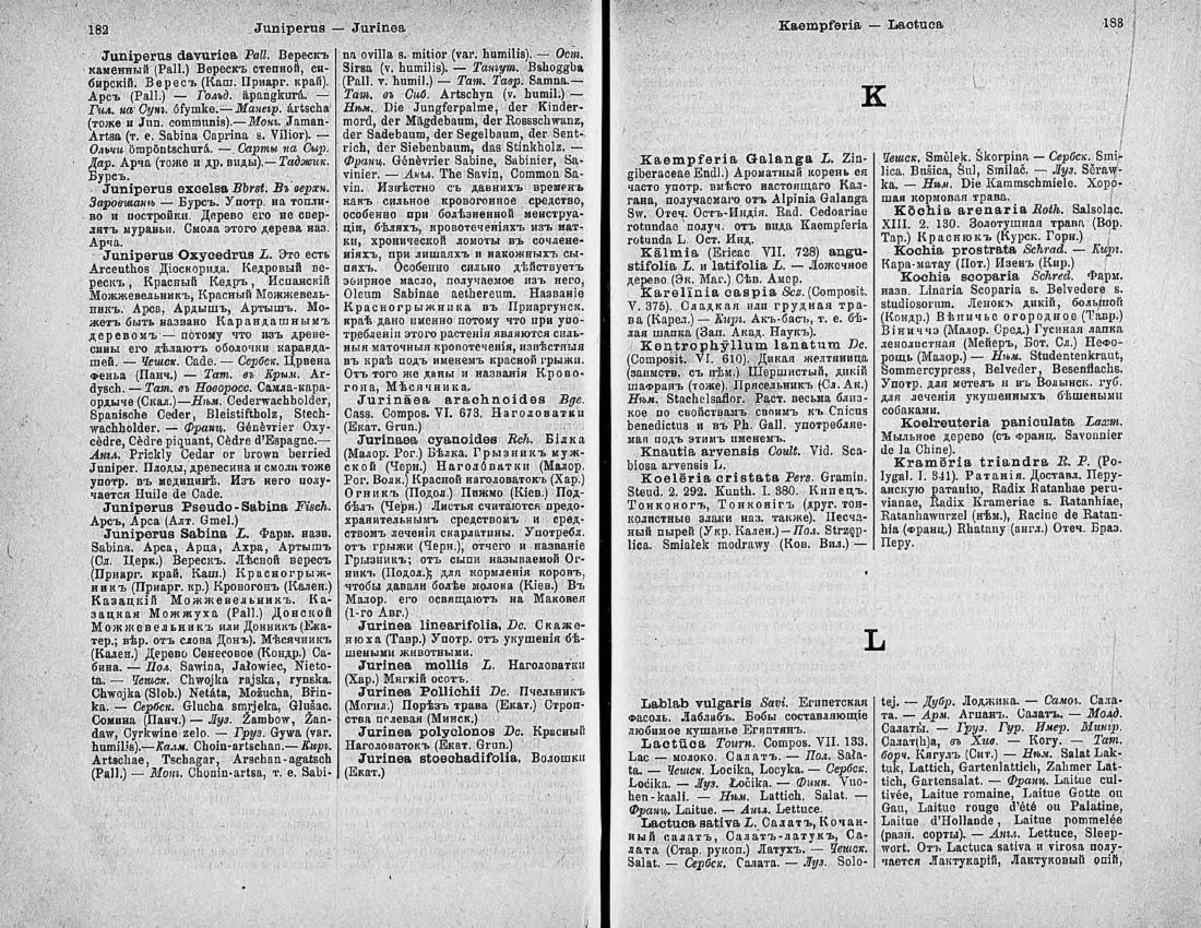 Скан страницы 106 книги «Ботанический Словарь»