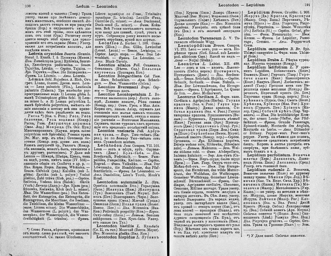Скан страницы 110 книги «Ботанический Словарь»