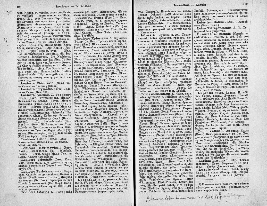 Скан страницы 114 книги «Ботанический Словарь»