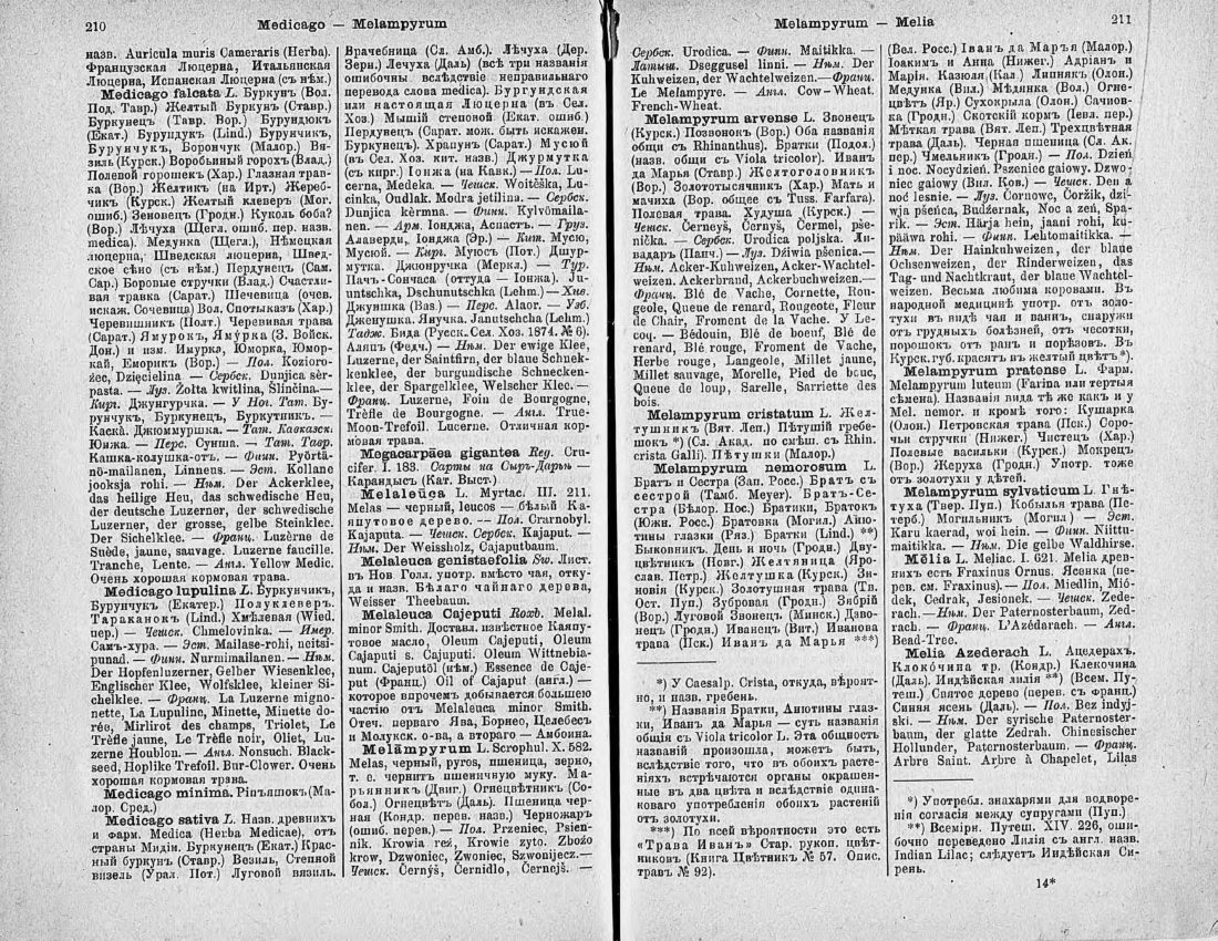 Скан страницы 120 книги «Ботанический Словарь»