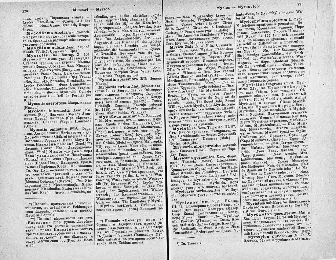 Скан страницы 125 книги «Ботанический Словарь»