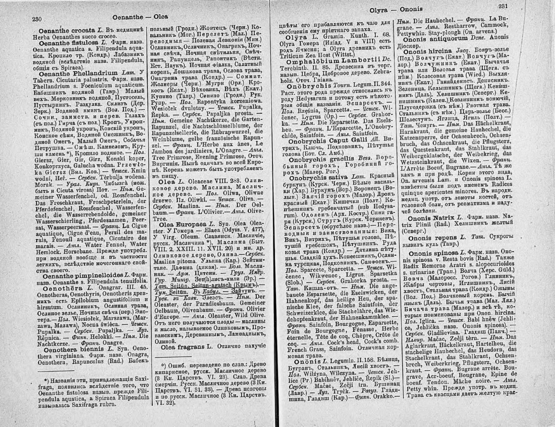 Скан страницы 130 книги «Ботанический Словарь»