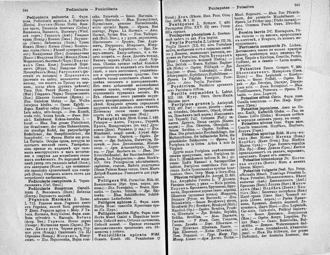 Скан страницы 137 книги «Ботанический Словарь»