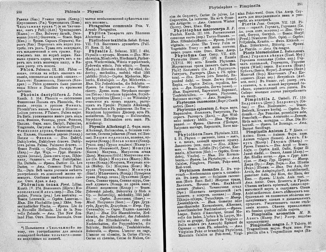 Скан страницы 140 книги «Ботанический Словарь»