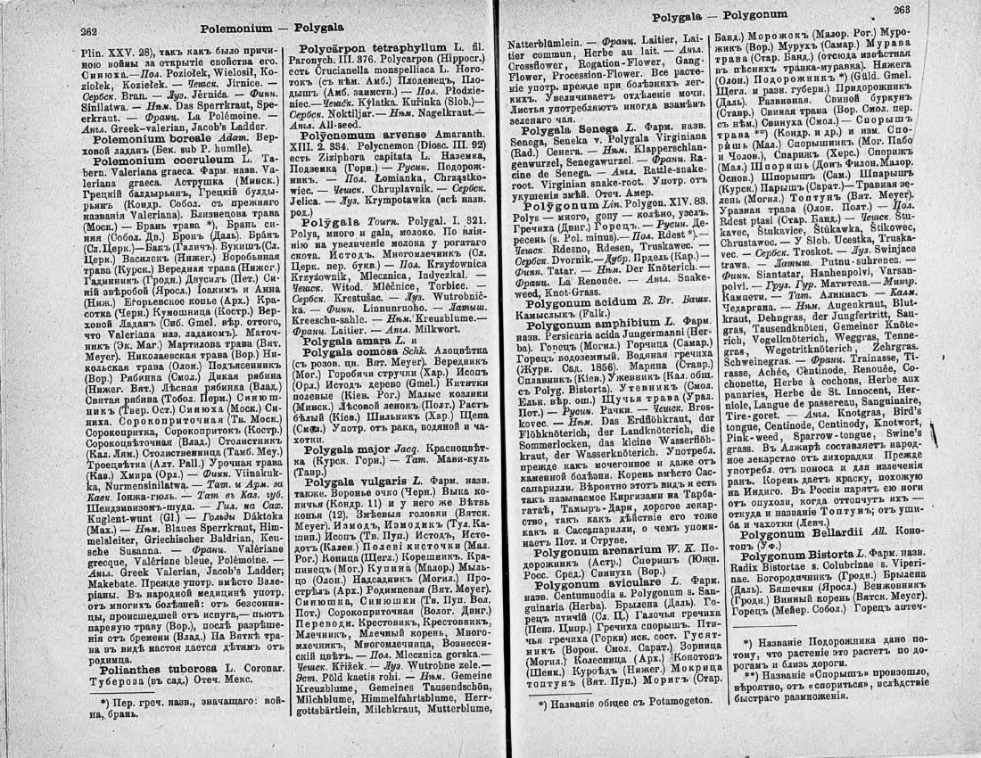 Скан страницы 146 книги «Ботанический Словарь»