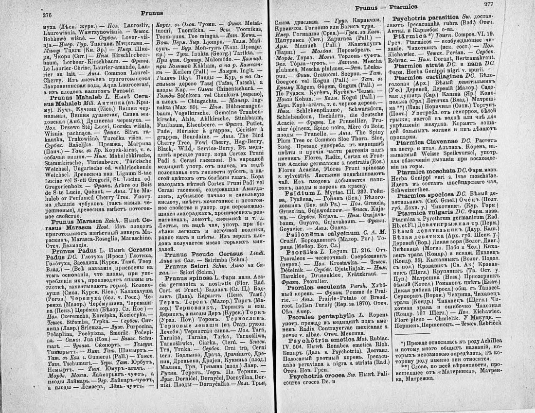 Скан страницы 153 книги «Ботанический Словарь»