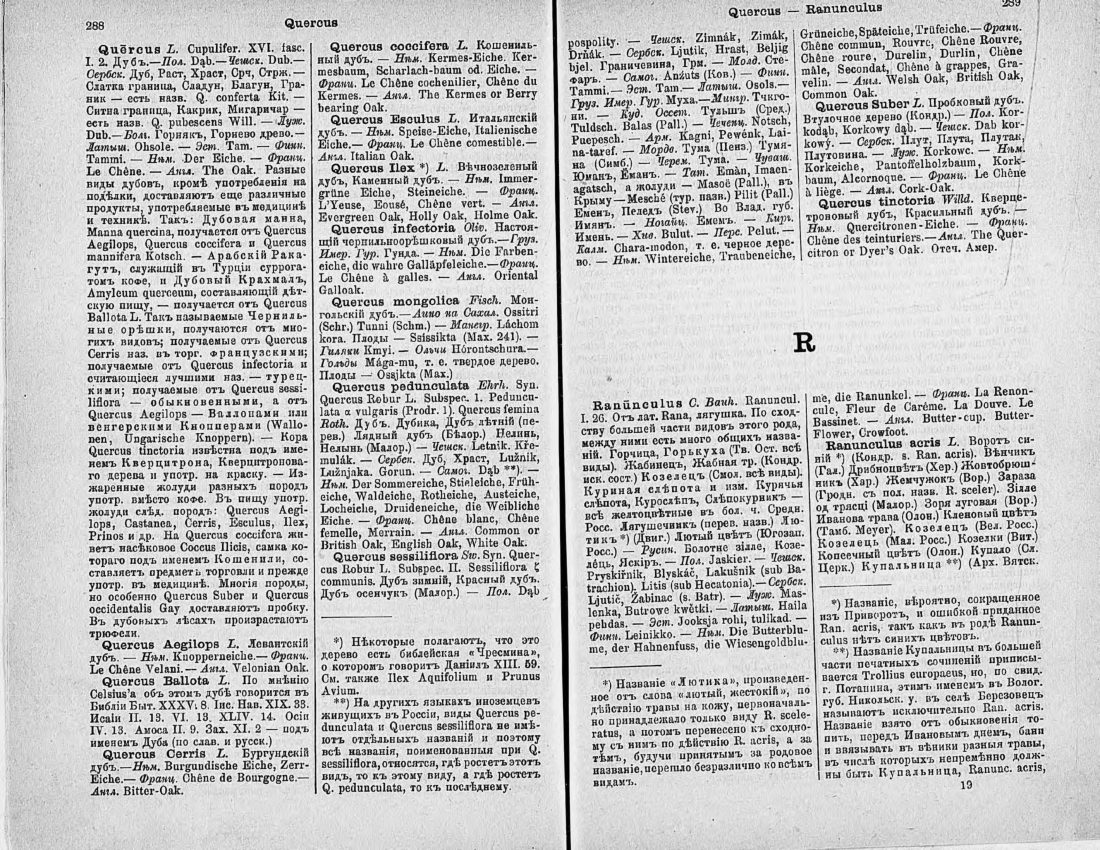 Скан страницы 159 книги «Ботанический Словарь»