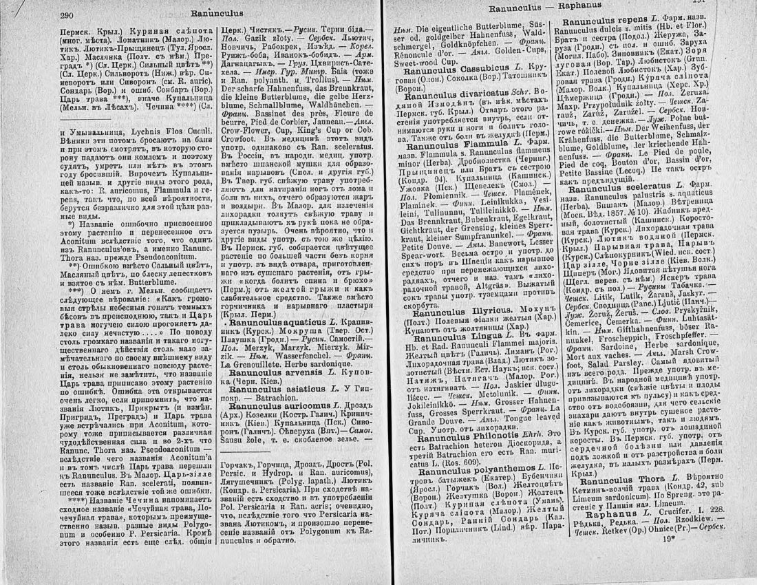 Скан страницы 160 книги «Ботанический Словарь»