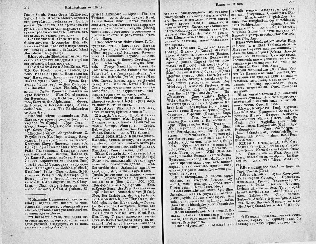 Скан страницы 163 книги «Ботанический Словарь»