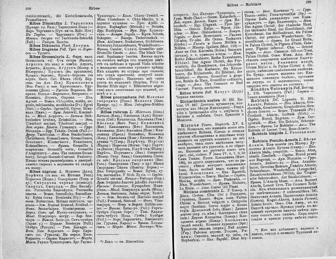 Скан страницы 164 книги «Ботанический Словарь»