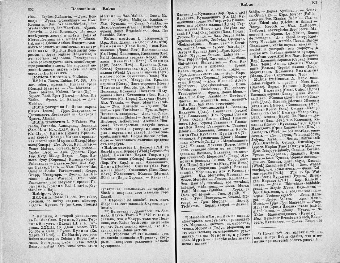 Скан страницы 166 книги «Ботанический Словарь»