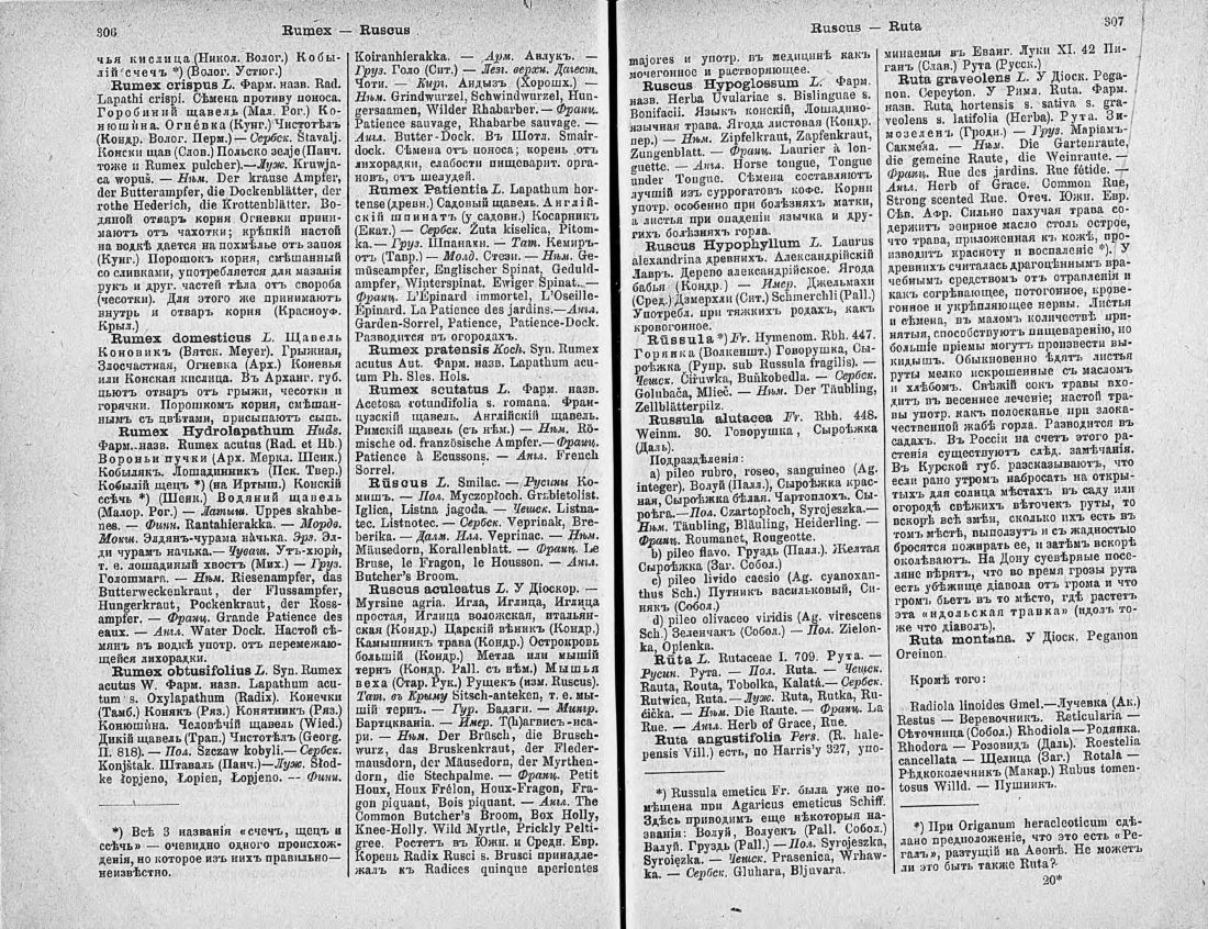 Скан страницы 168 книги «Ботанический Словарь»