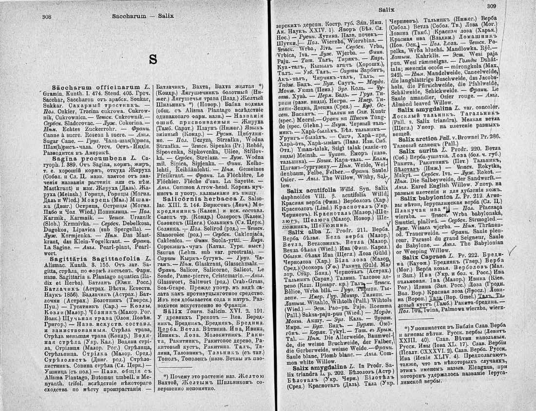 Скан страницы 169 книги «Ботанический Словарь»