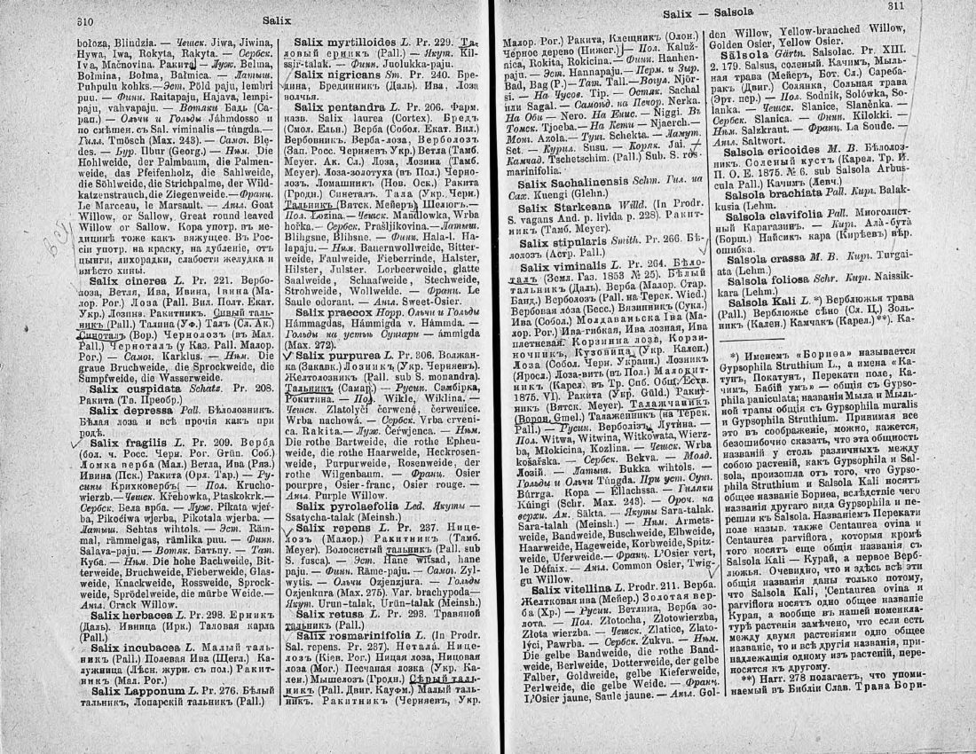 Скан страницы 170 книги «Ботанический Словарь»