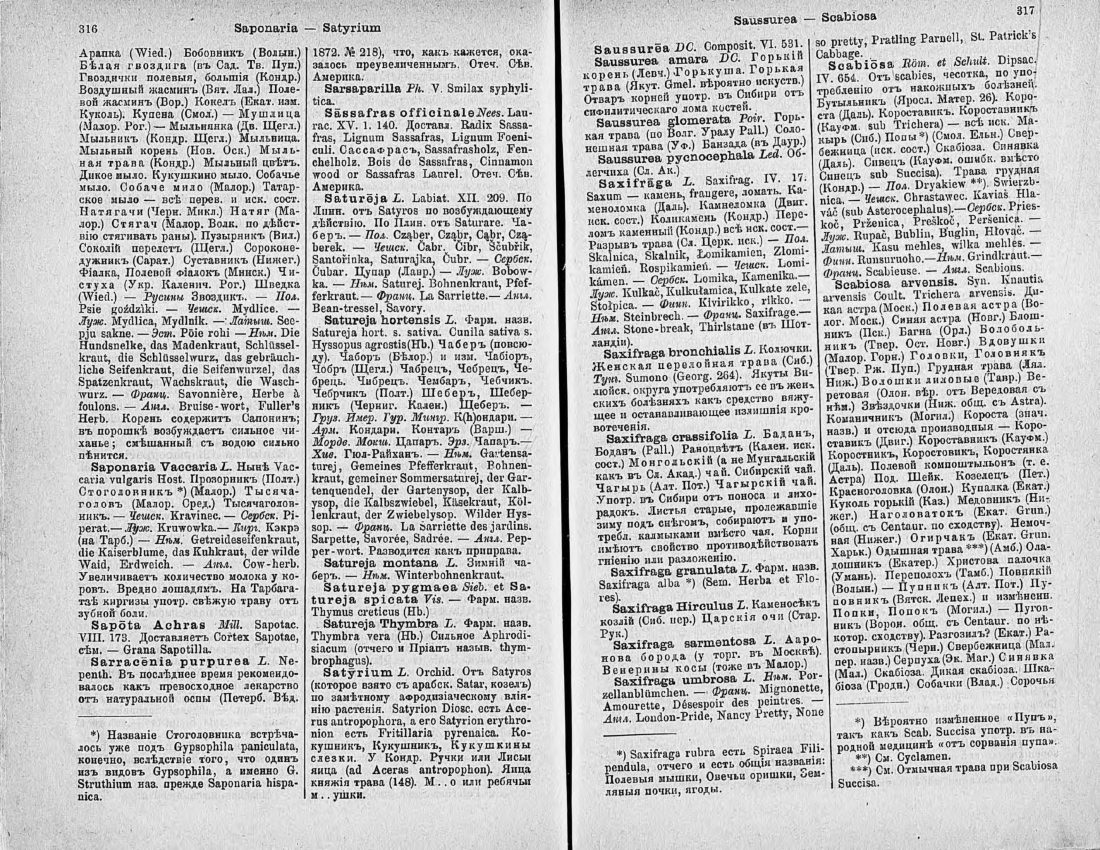 Скан страницы 173 книги «Ботанический Словарь»