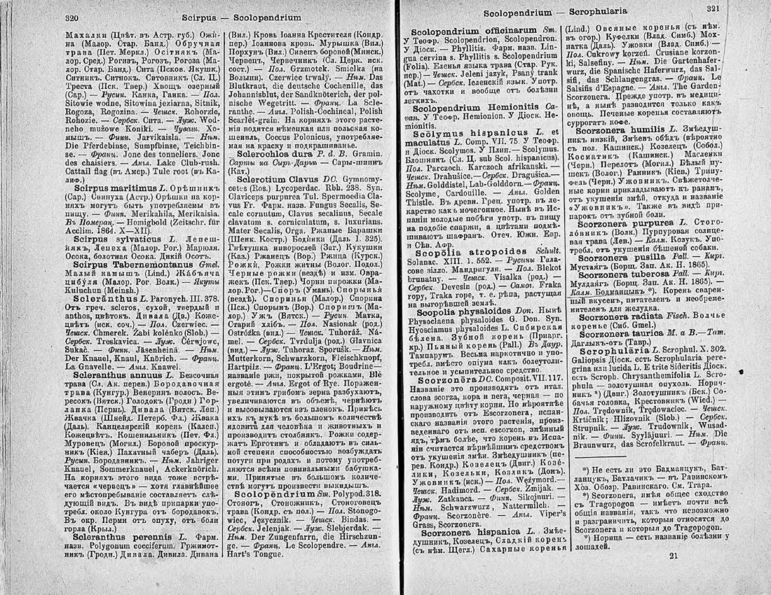 Скан страницы 175 книги «Ботанический Словарь»