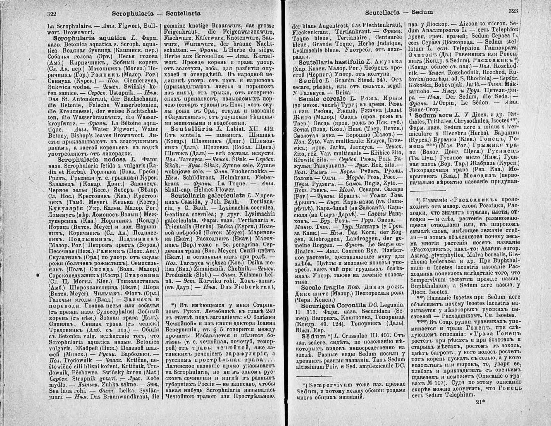 Скан страницы 176 книги «Ботанический Словарь»