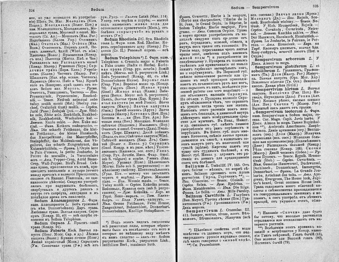 Скан страницы 177 книги «Ботанический Словарь»