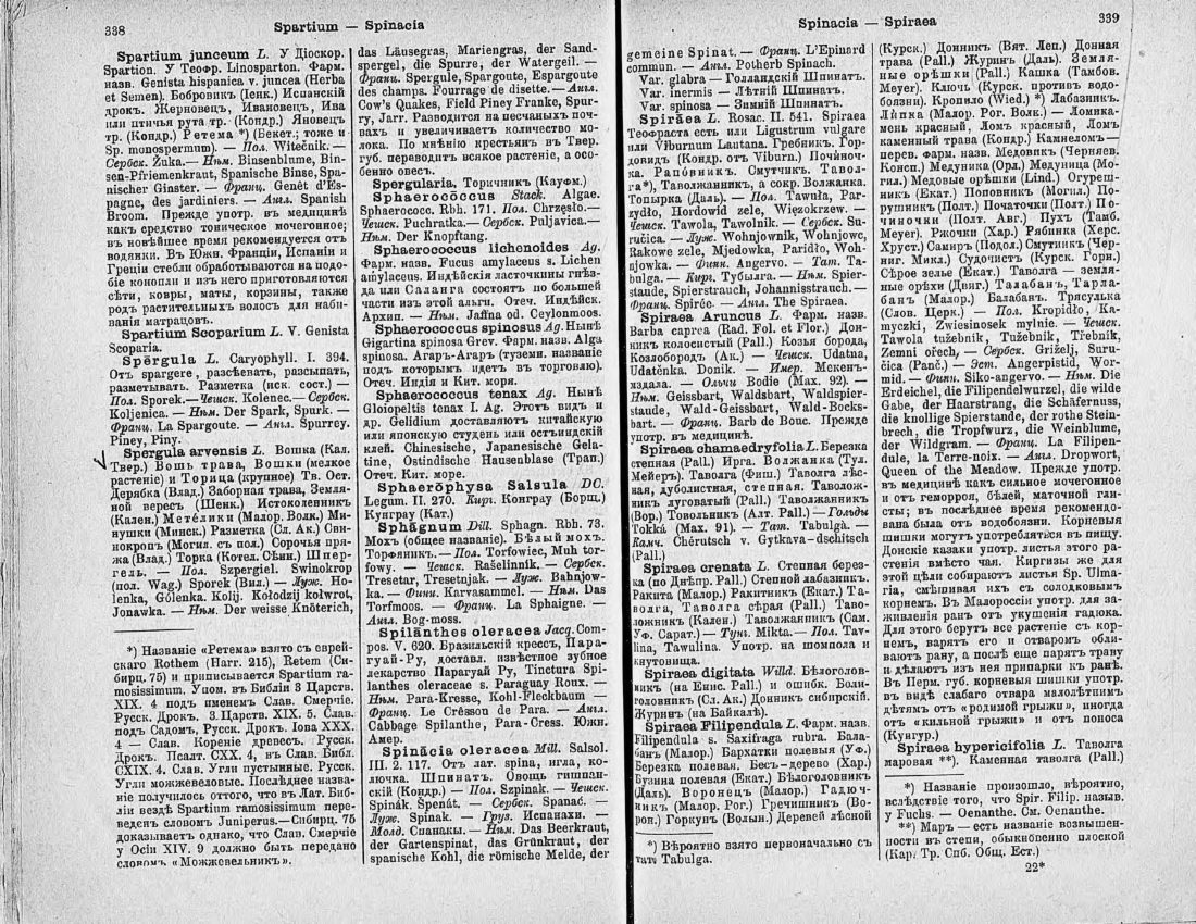 Скан страницы 184 книги «Ботанический Словарь»