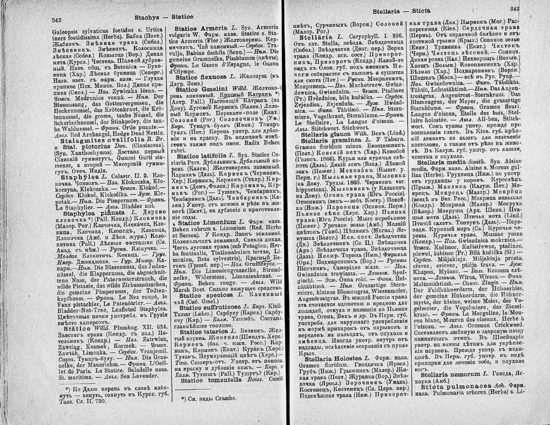 Скан страницы 186 книги «Ботанический Словарь»