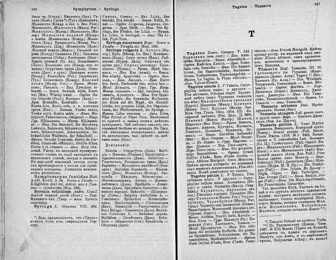 Скан страницы 188 книги «Ботанический Словарь»