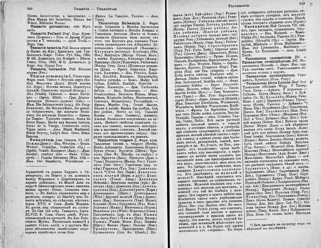 Скан страницы 189 книги «Ботанический Словарь»