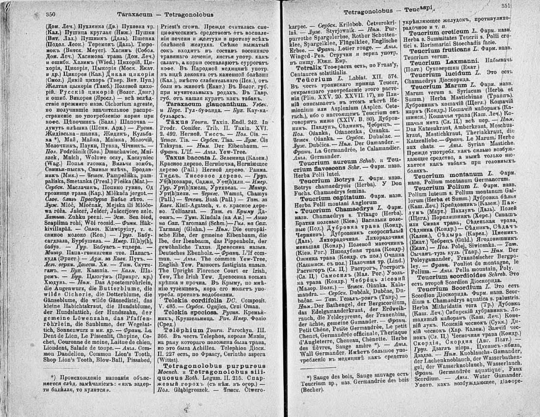 Скан страницы 190 книги «Ботанический Словарь»
