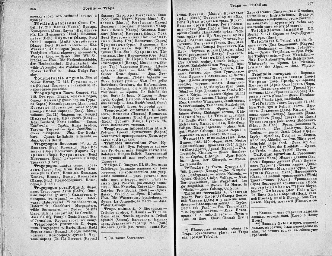 Скан страницы 193 книги «Ботанический Словарь»