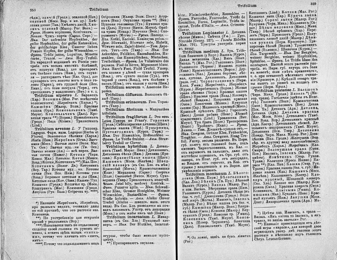 Скан страницы 194 книги «Ботанический Словарь»