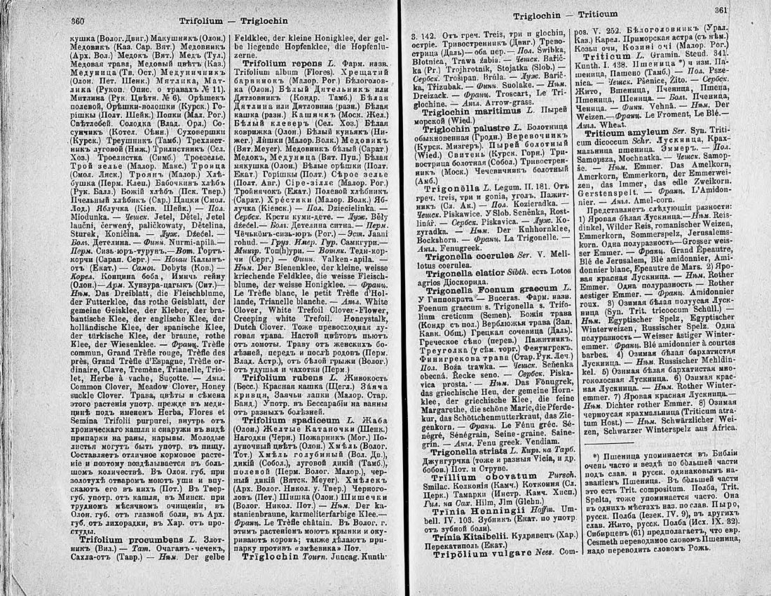 Скан страницы 195 книги «Ботанический Словарь»
