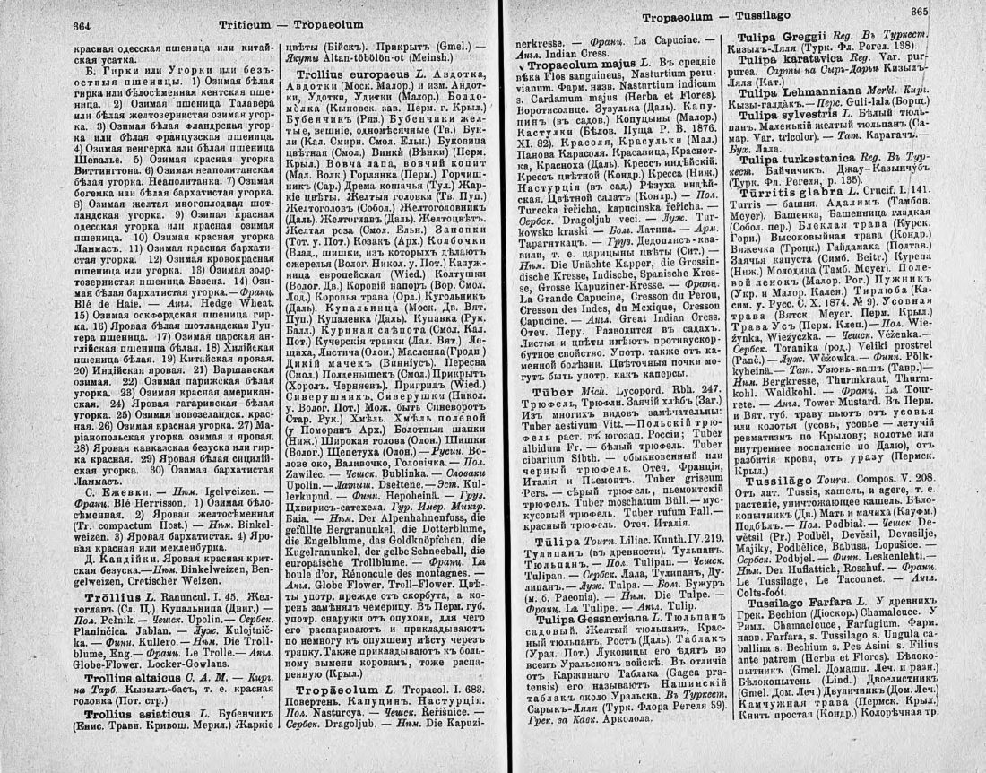 Скан страницы 197 книги «Ботанический Словарь»
