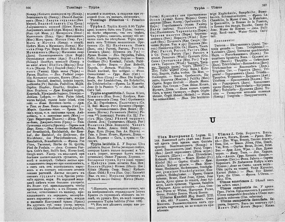 Скан страницы 198 книги «Ботанический Словарь»