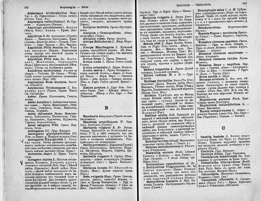 Скан страницы 211 книги «Ботанический Словарь»