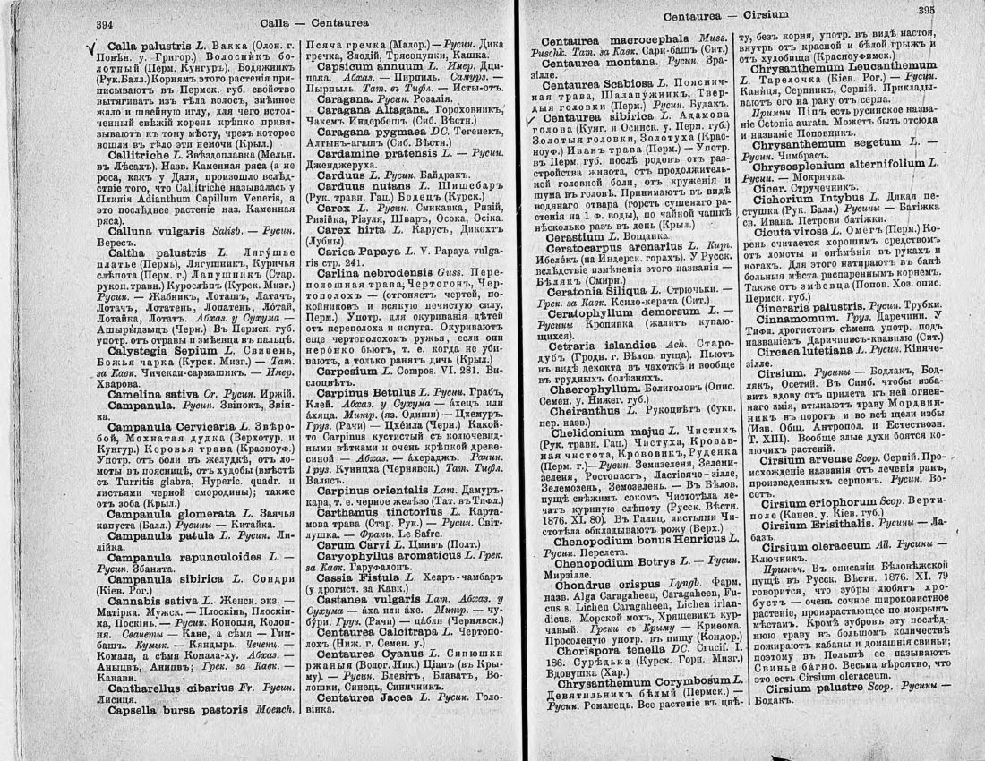 Скан страницы 212 книги «Ботанический Словарь»