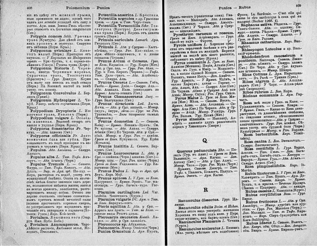 Скан страницы 219 книги «Ботанический Словарь»