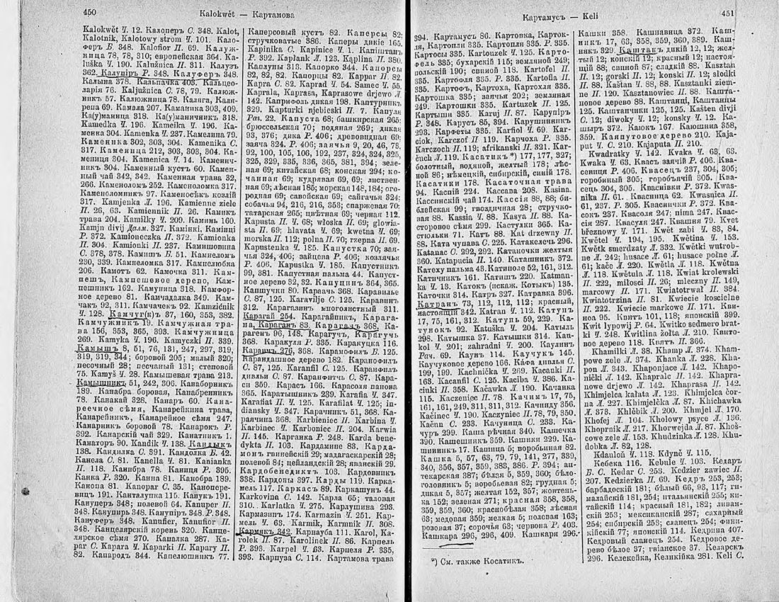 Скан страницы 240 книги «Ботанический Словарь»