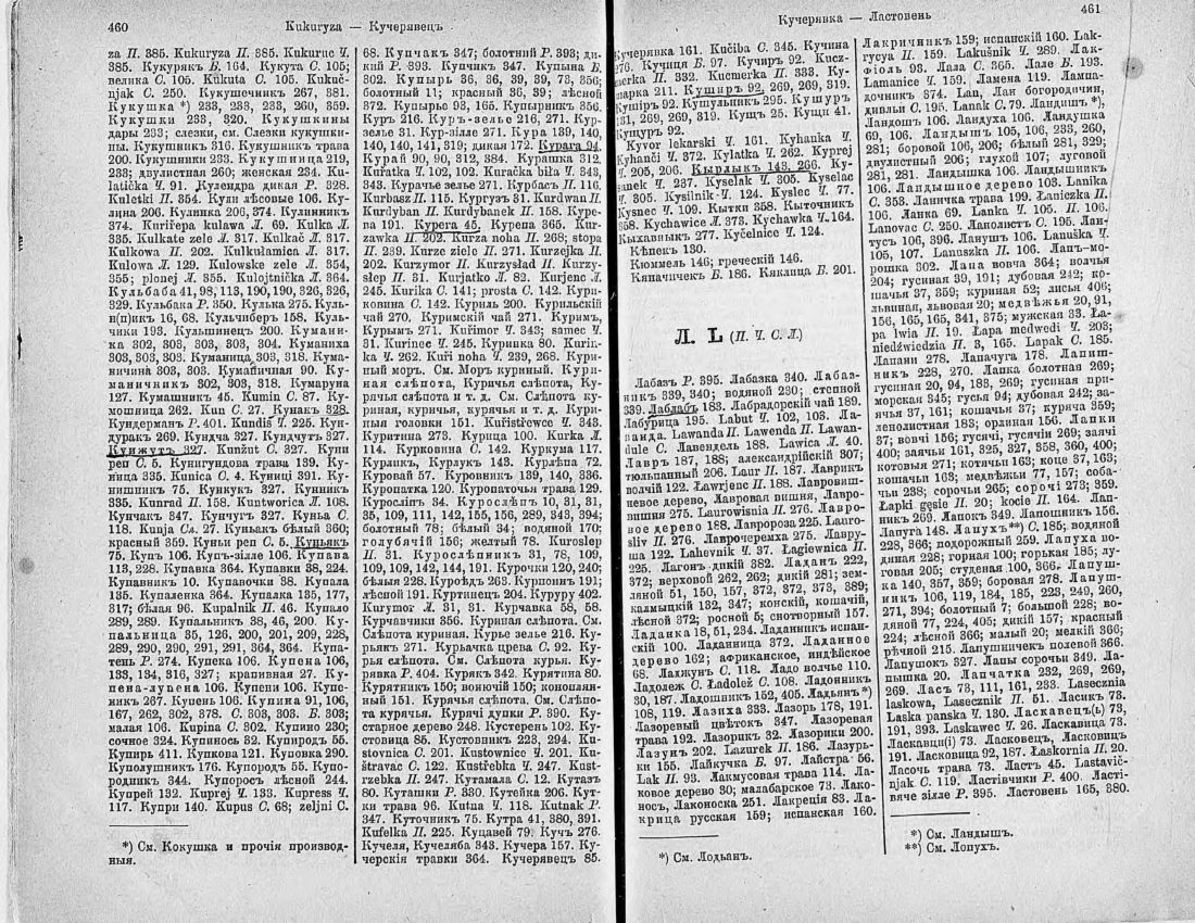Скан страницы 245 книги «Ботанический Словарь»