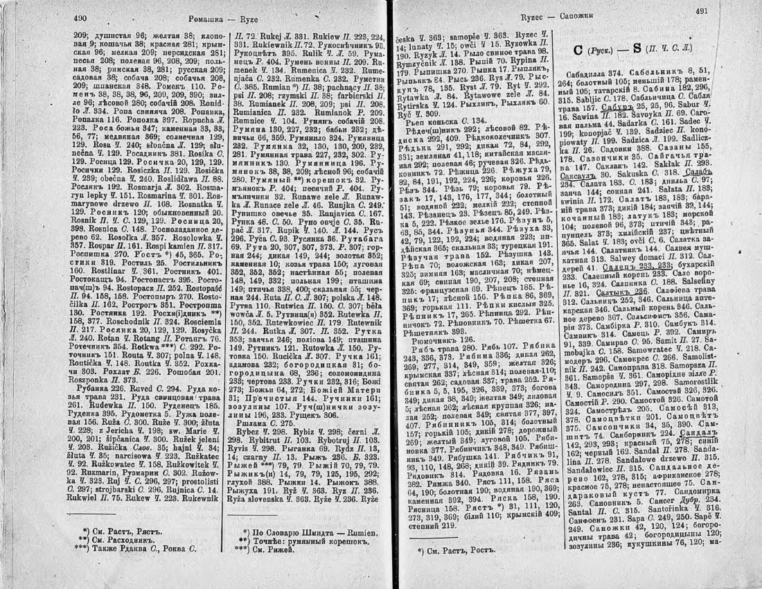 Скан страницы 260 книги «Ботанический Словарь»