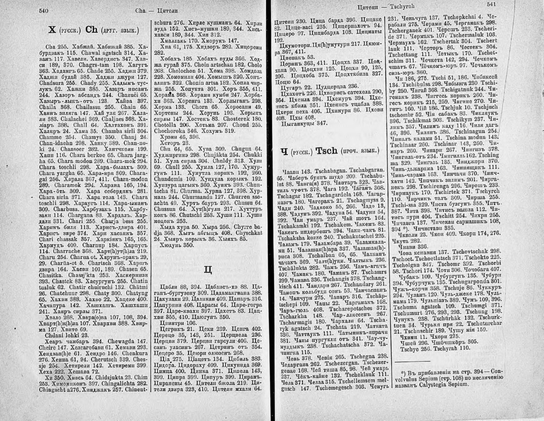 Скан страницы 285 книги «Ботанический Словарь»