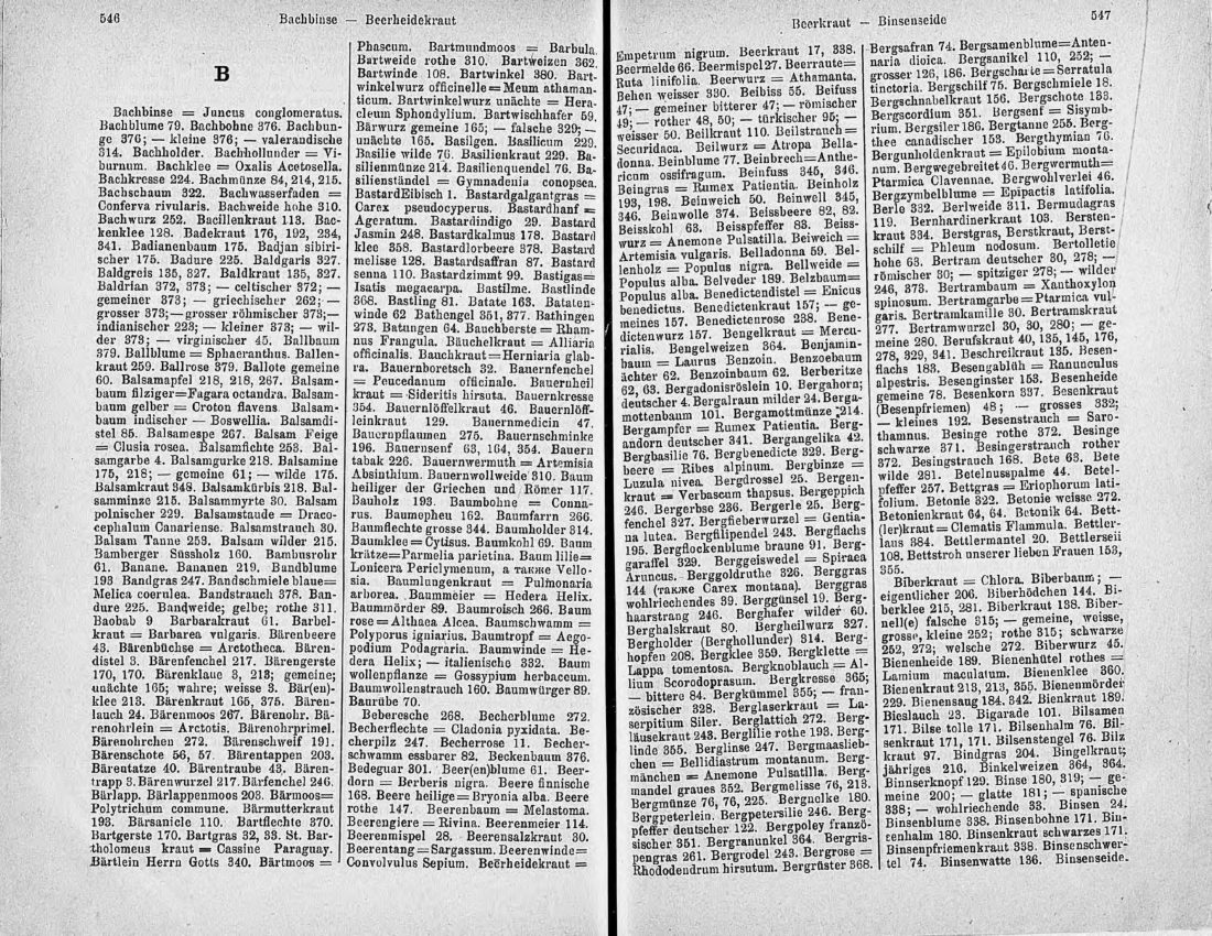 Скан страницы 288 книги «Ботанический Словарь»